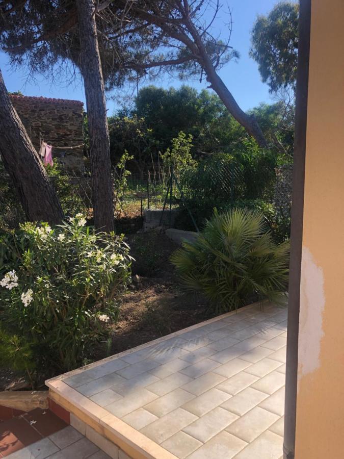 Civico34 House 3 - I Giardini Dell'Ancora Stintino Exterior photo
