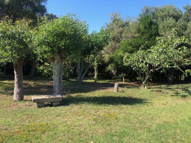 Civico34 House 3 - I Giardini Dell'Ancora Stintino Exterior photo